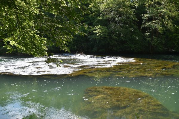 21-DSC_6621